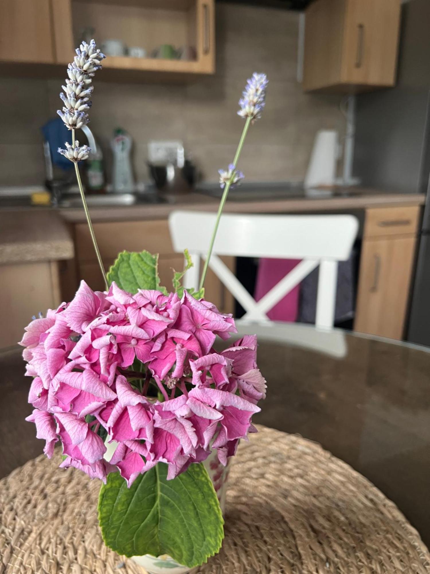 Auszeit Im Pott - Ferienwohnung Lavendel 黑尔滕 外观 照片