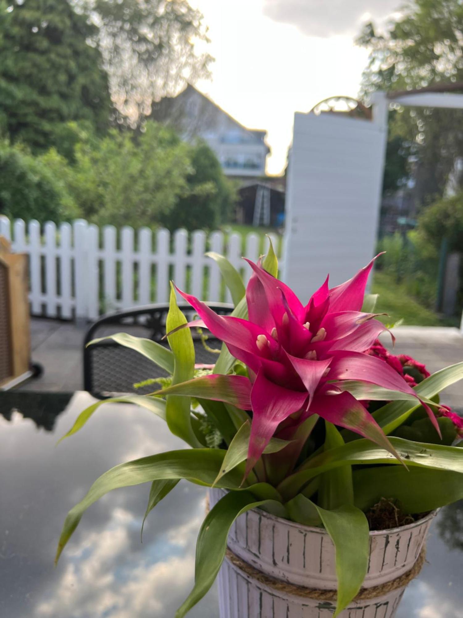 Auszeit Im Pott - Ferienwohnung Lavendel 黑尔滕 外观 照片